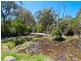 43 Kingston Road, Langwarrin VIC 3910