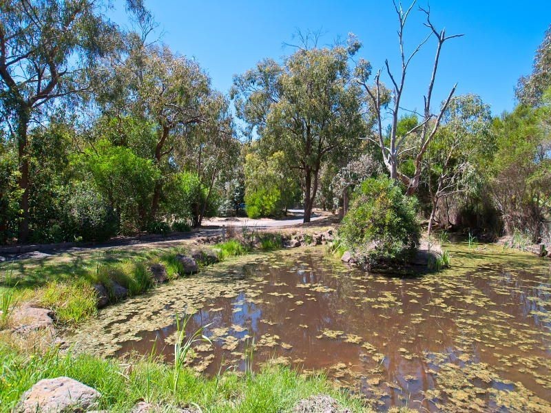 43 Kingston Road, Langwarrin VIC 3910