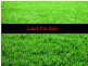 Lot 56 Romina Drive, Langwarrin VIC 3910