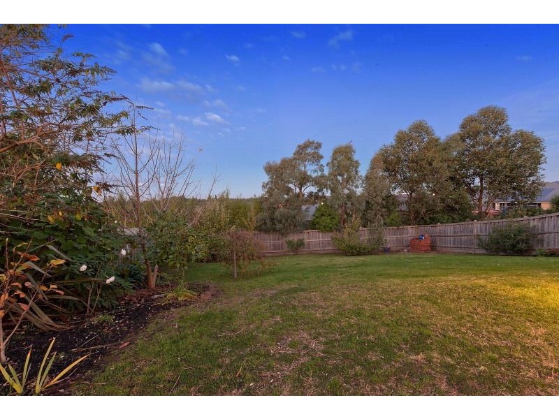 12 Sundew Drive, Langwarrin VIC 3910