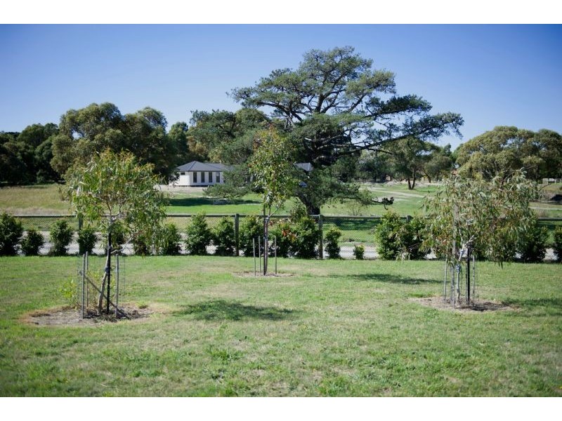 39 Hillcrest Drive, Langwarrin VIC 3910