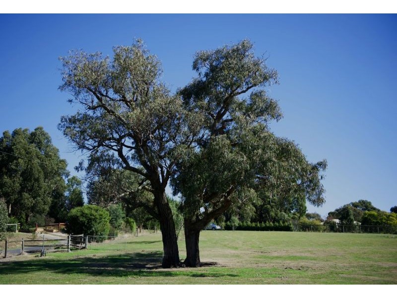 39 Hillcrest Drive, Langwarrin VIC 3910