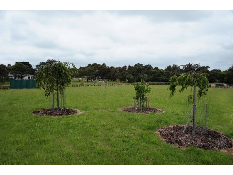 39 Hillcrest Drive, Langwarrin VIC 3910