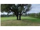 39 Hillcrest Drive, Langwarrin VIC 3910