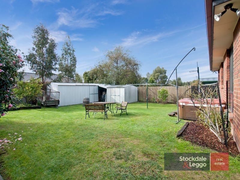 19 Noel Road, Langwarrin VIC 3910