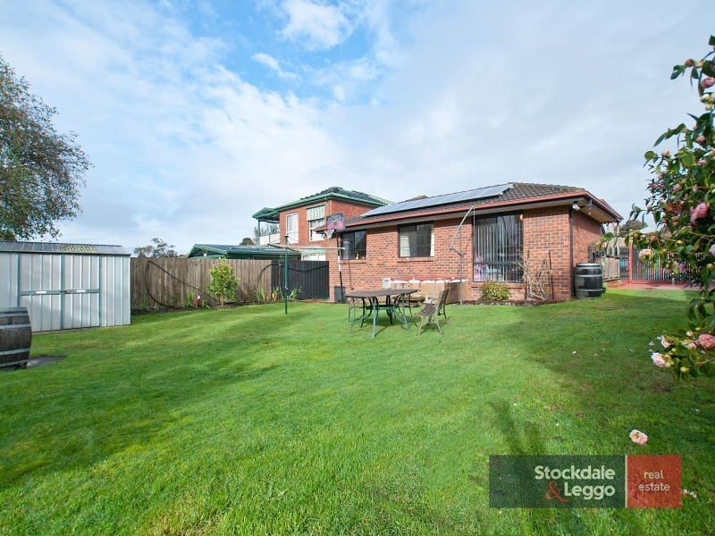 19 Noel Road, Langwarrin VIC 3910