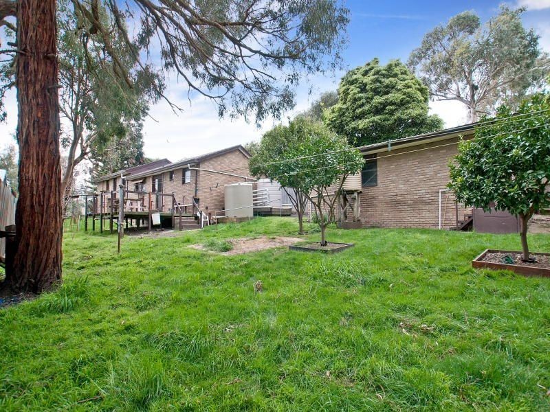 24 Beech Street, Langwarrin VIC 3910