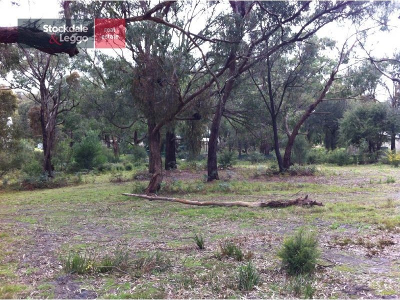 2 Birdswood Court, Langwarrin South VIC 3911