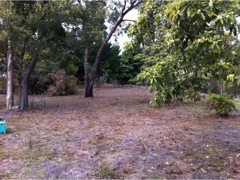 2 Birdswood Court, Langwarrin South VIC 3911