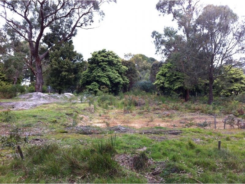 2 Birdswood Court, Langwarrin South VIC 3911