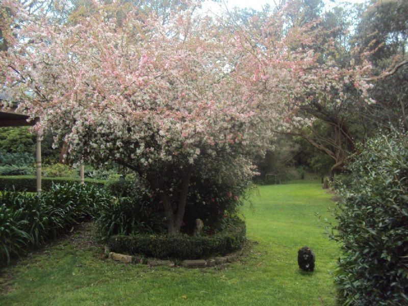 3 Chiltern Rise, Langwarrin VIC 3910