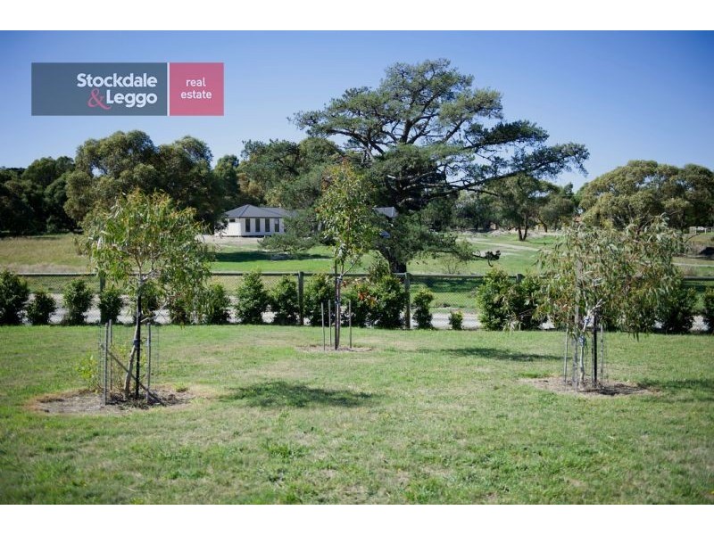 39 Hillcrest Drive, Langwarrin VIC 3910
