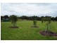 39 Hillcrest Drive, Langwarrin VIC 3910