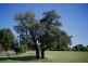 39 Hillcrest Drive, Langwarrin VIC 3910
