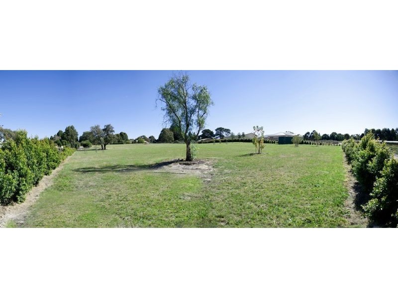 39 Hillcrest Drive, Langwarrin VIC 3910