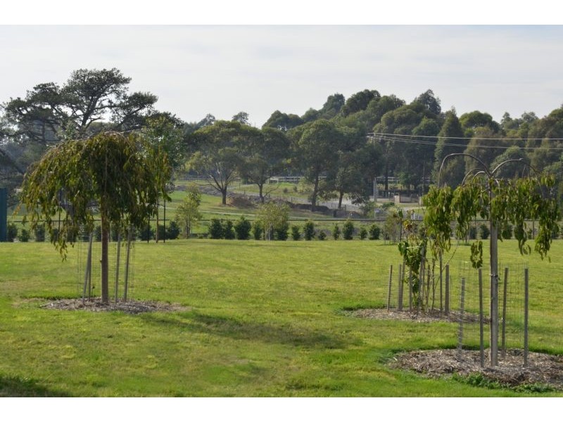 39 Hillcrest Drive, Langwarrin VIC 3910
