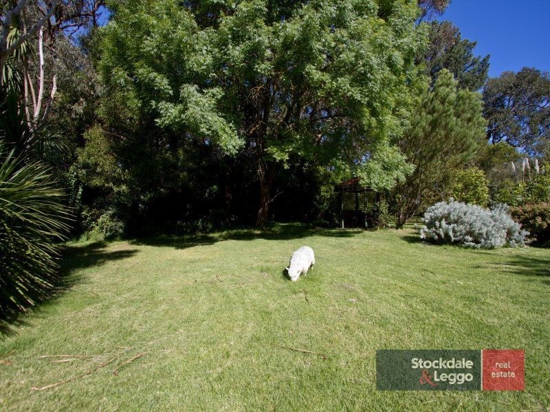 291 North Road, Langwarrin VIC 3910