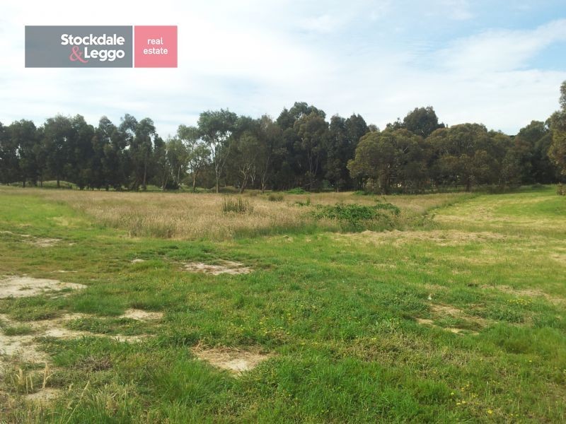 45 Hillcrest Drive, Langwarrin VIC 3910