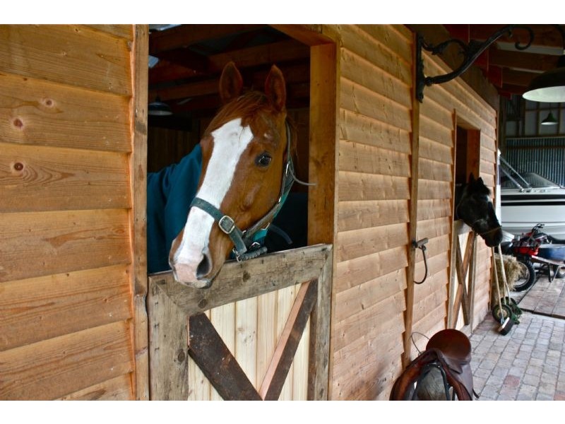 675 Robinsons Road, Langwarrin South VIC 3911