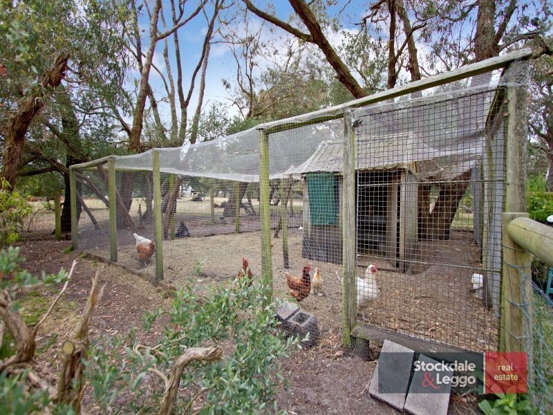 1555 Dandenong- Hastings Road, Langwarrin VIC 3910