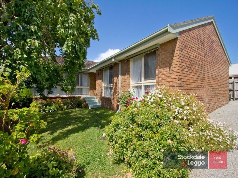 22 Burgess Drive, Langwarrin VIC 3910