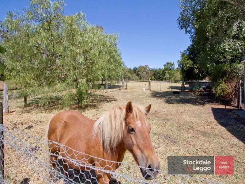 785 North Road, Cranbourne South VIC 3977