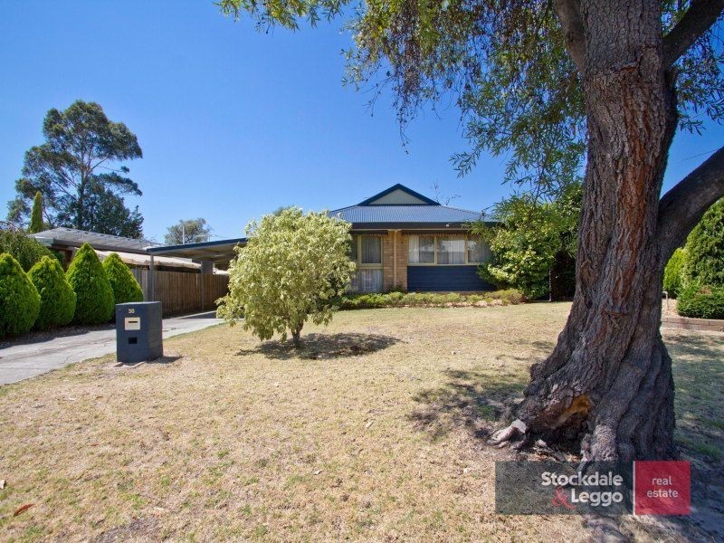 38  Paterson Avenue, Langwarrin VIC 3910