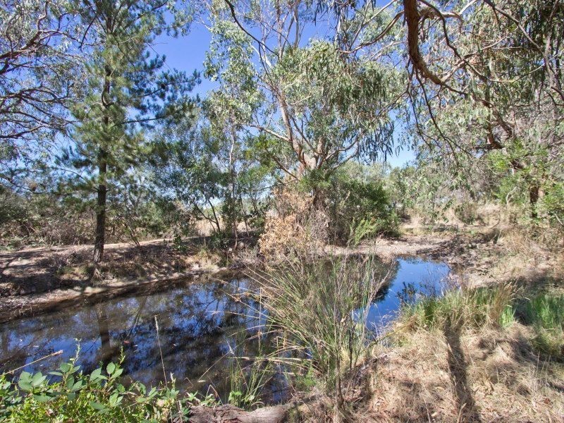 38 Grassmere Road, Langwarrin VIC 3910