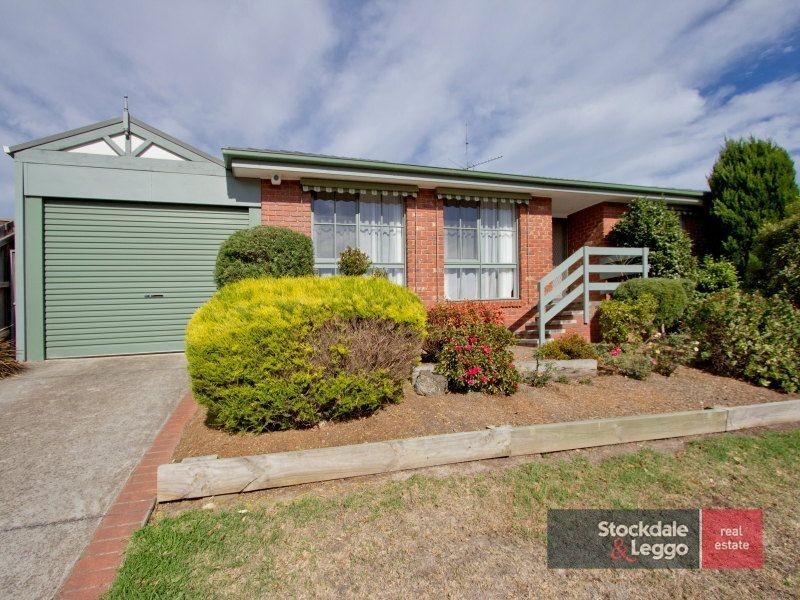 41 Burgess Drive, Langwarrin VIC 3910