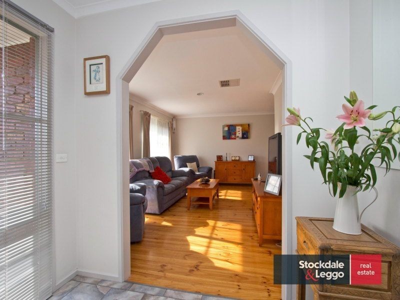 41 Burgess Drive, Langwarrin VIC 3910