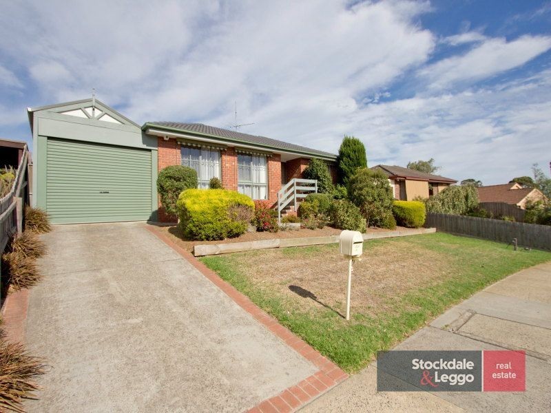 41 Burgess Drive, Langwarrin VIC 3910