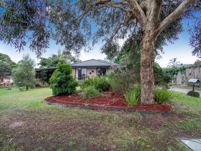 8 Clematis Court, Langwarrin VIC 3910