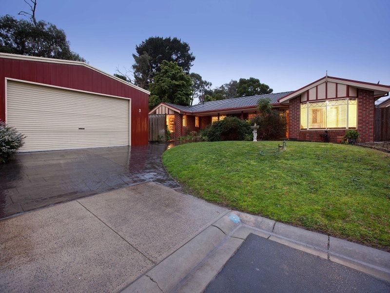 3 Agnes Court, Langwarrin VIC 3910