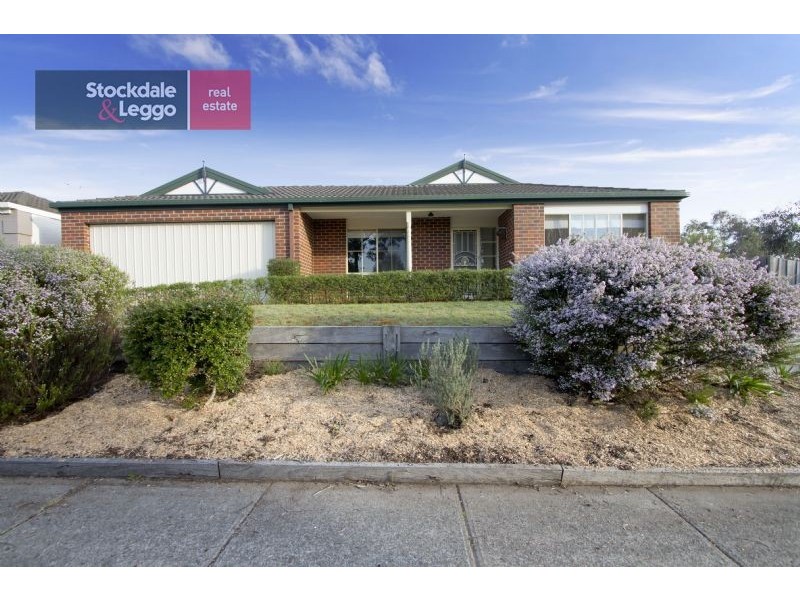81 Gum Nut Drive, Langwarrin VIC 3910