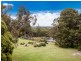 655 Robinsons Road, Langwarrin VIC 3910
