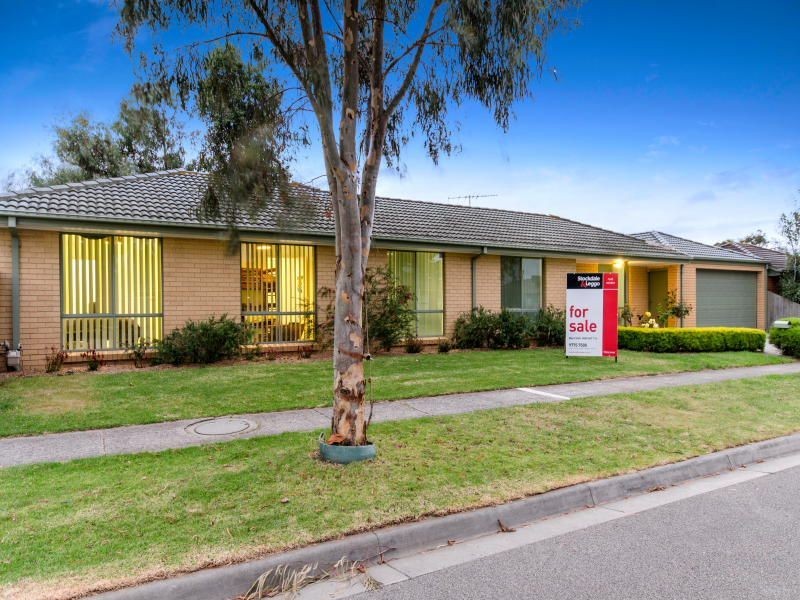 15 Raneen Drive, Langwarrin VIC 3910