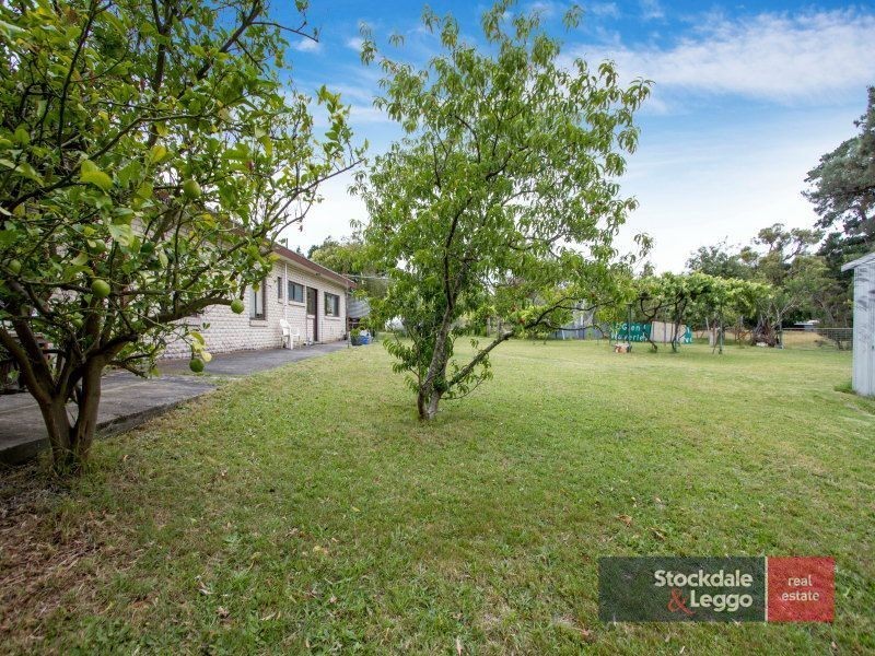 260 North Rd, Langwarrin VIC 3910