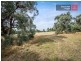 467 North Road, Langwarrin VIC 3910