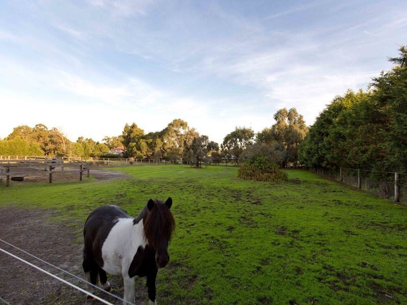 6 Timarron Court, Langwarrin VIC 3910