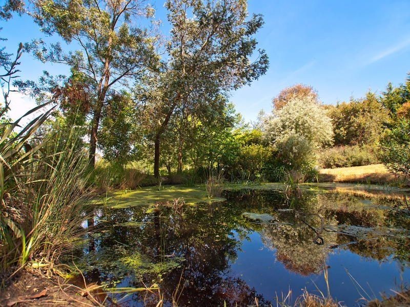 3 Chiltern Rise, Langwarrin VIC 3910