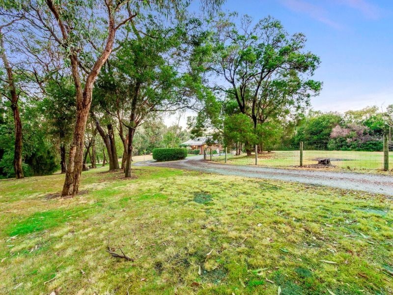99 Donald Road, Langwarrin VIC 3910