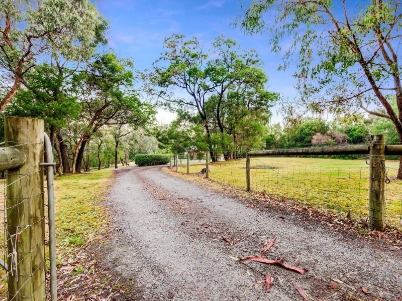 99 Donald Road, Langwarrin VIC 3910