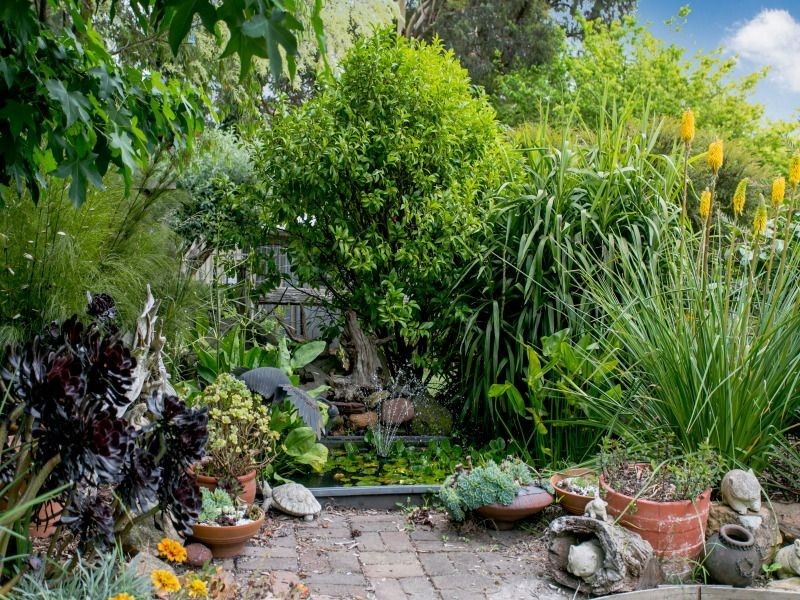 17 Yarralumla Drive, Langwarrin VIC 3910