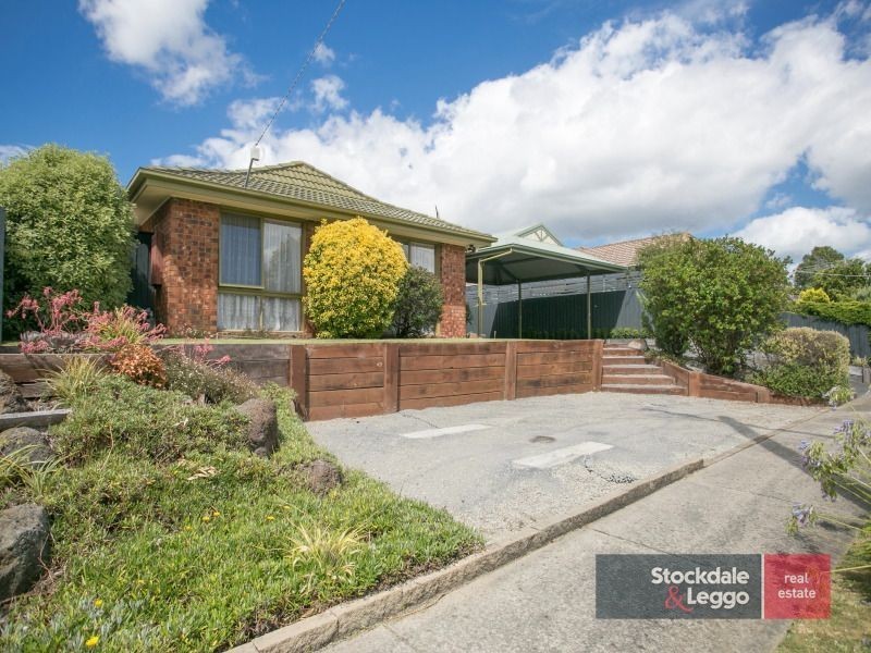 4 Bolton Court, Langwarrin VIC 3910