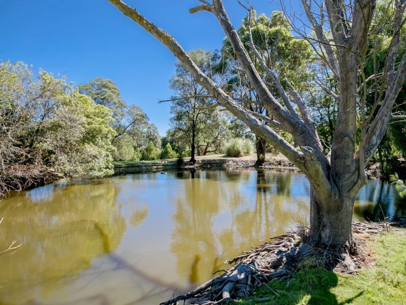 25 Donald Road, Langwarrin VIC 3910