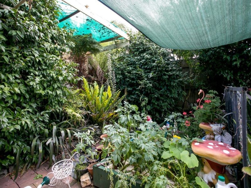 6 Ash Grove South, Langwarrin VIC 3910