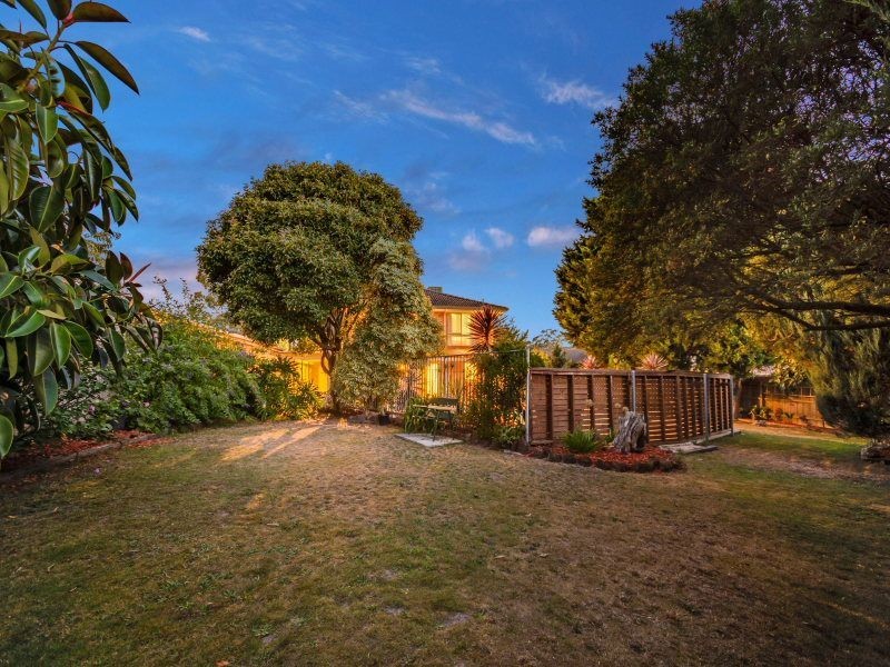 3 Tomasina Court, Langwarrin VIC 3910