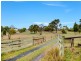16 Kingston Road, Langwarrin VIC 3910