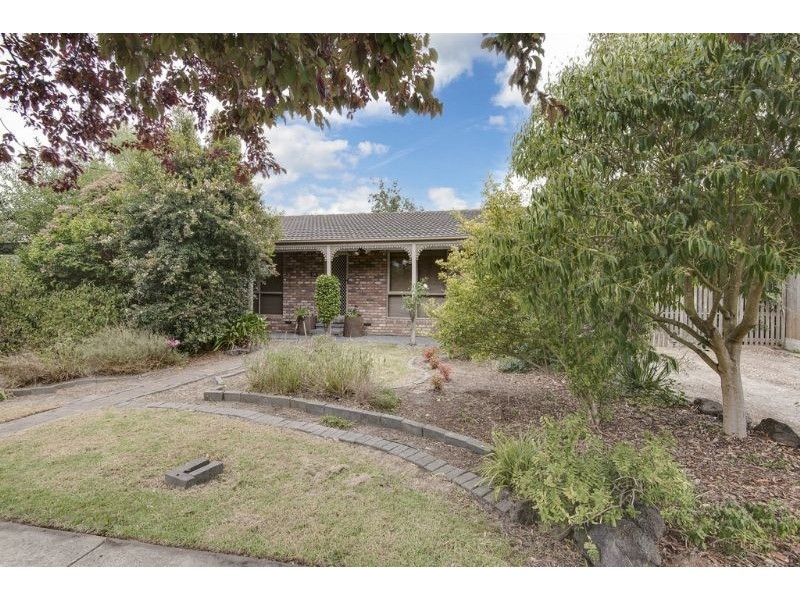 131 Warrandyte Road, Langwarrin VIC 3910