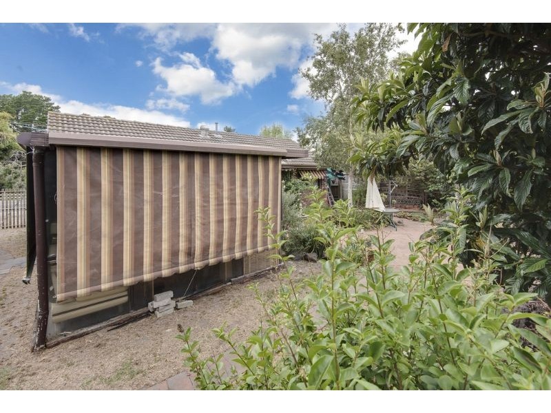 131 Warrandyte Road, Langwarrin VIC 3910